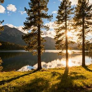 院子里的花  (我意气风发像偷了你的年华) (Cover 灯叔)