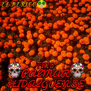 El Cuanegro