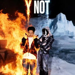 Y NOT