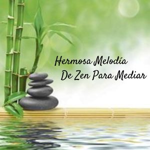 Mejora Tu Sistema Inmunológico