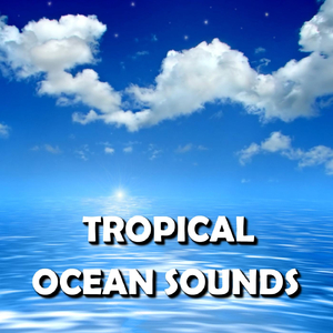 Illuminative Fiji Beach Sounds