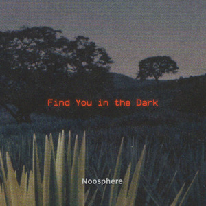 Find You in the Dark