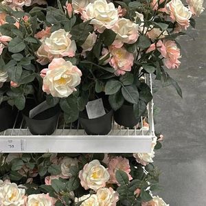 下雨天（cover：南拳妈妈）