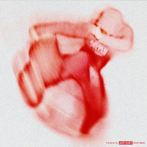 Non mi Possono Fermare