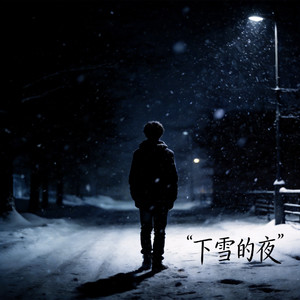 下雪的夜