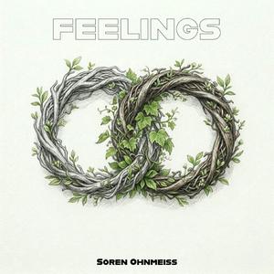 Feelings