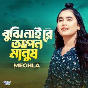 Bujhi Naire Apon Manush