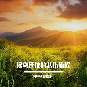 背影