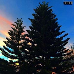 You Are Missing the Point (feat. BONES)