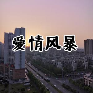 爱情风暴