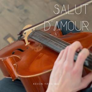 Salut d'Amour, Op. 12