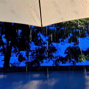 可能是我不够好