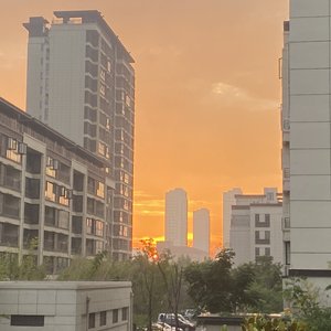 眉飞色舞-李贞贤