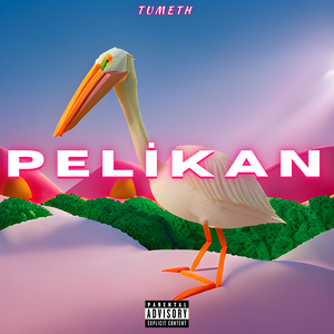 Peli̇kan