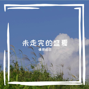 未走完的盛夏