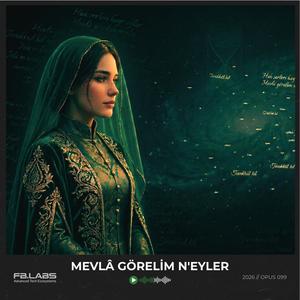 Mevlâ Görelim N'eyler (Mısırlou)
