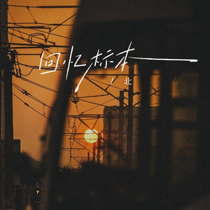 回忆标本