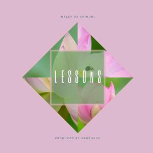 Lessons (feat. Negroove)