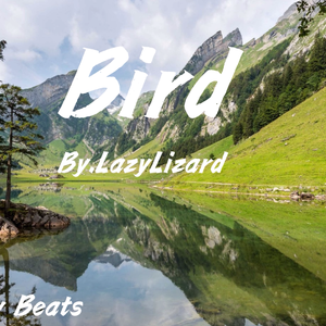 【免费伴奏】“Bird” Trap Type Beat