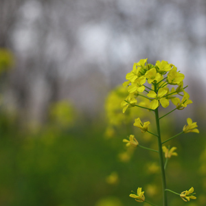 一起唱的这首歌原创第1版