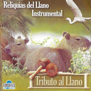 El Arpista de Mi Tierra