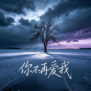 L-SHENG-你不再爱我 （L-SHENG remix）