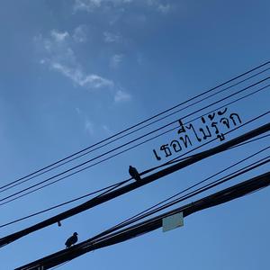 เคยคิดถึงเหมือนกันไหม