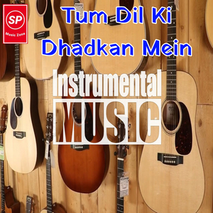 Tum Dil Ki Dhadkan Mein