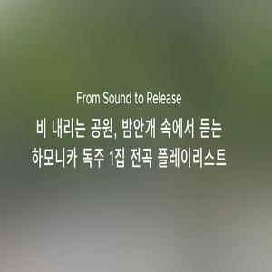 바람 부는 언덕의 기억
