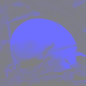 BONUS! apple, banana, blue raspberry, cherry/apple splits, cherry, grape, strawberry, tropical lemonade, tropical punch, watermelon, wild fruits, and "original"