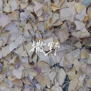 撒野(原唱：凯瑟喵)