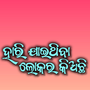 ହାରି ଯାଇଥିବା ଲୋକ ର କି ଅଛି
