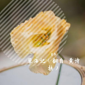 孽海记（cover黄诗扶）