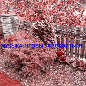 ?????? ????? ???????????