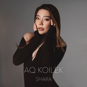 AQ KOILEK