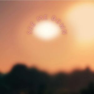 SEE ME DOWN (Prod by Ray xReid x MM)