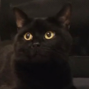 哄我入睡（完整版）