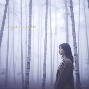 사랑이 아니였나봐