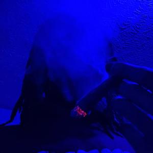 Ðüńċe (feat. HITTAH, 17 & Arc¡ve)