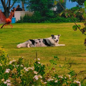 Strong Girls Heal Slow