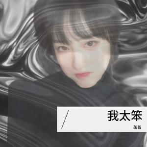我太笨