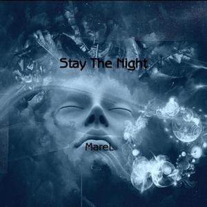 Stay The Night