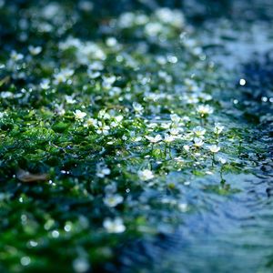 浅浅时光 恬静安然