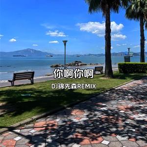 你啊你啊（DJ锦先森 Remix）