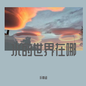 印子月-落空（阮章涵 remix）