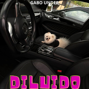 Diluido