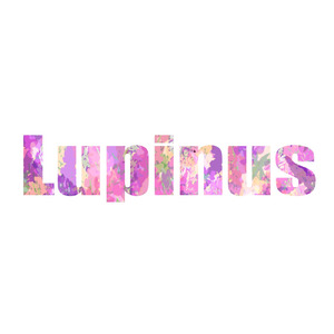 Lupinus (feat. 知声)