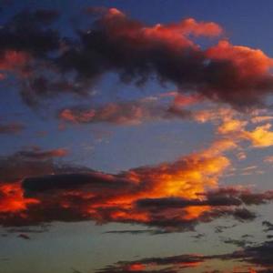 iwon'tletufeelaloneagian ABH&Zucker（翻自 Demxntia）