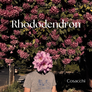 Rhododendron