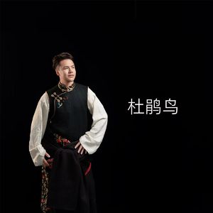 杜鹃鸟（DJ版）